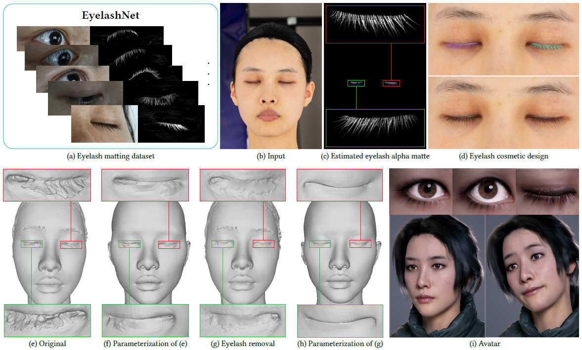 EyelashNet: A Dataset and A Baseline Method for Eyelash Matting