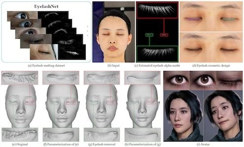 EyelashNet: A Dataset and A Baseline Method for Eyelash Matting — research thumbnail